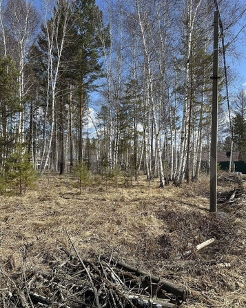 
  Продается земельный участок, 13 соток, ДНТ Ангарский Берег
. Фото 9.