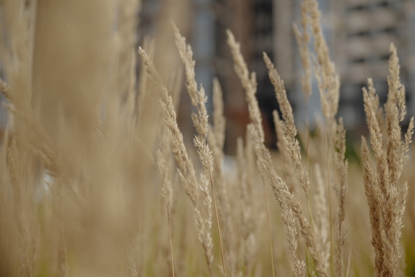 
  Продается 2-комн. квартира, 73.76 м², ЖК Сибиряков, блок-секция 8
. Фото 12.