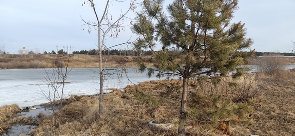 
  Продается земельный участок, 17 соток, СНТ Лесник-1
. Фото 12.