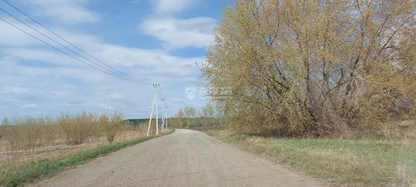 
  Продам  участок ИЖС, 15 соток, Елыкаево

. Фото 4.