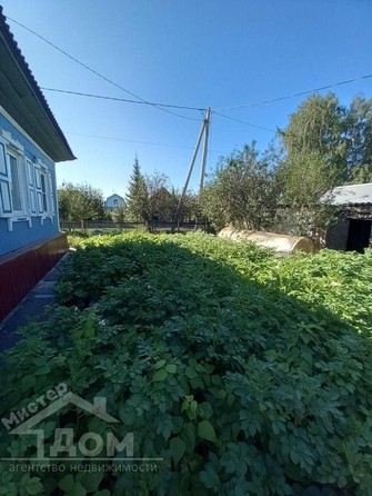 
   Продам дом, 76.2 м², Киселевск

. Фото 5.