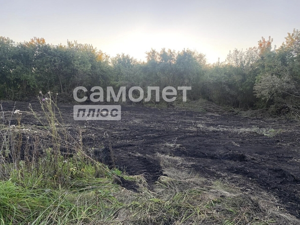 
  Продается земельный участок, 25 соток, деревня Мозжуха
. Фото 2.
