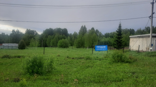 
  Продается земельный участок, 15 соток, деревня Солонечная
. Фото 3.