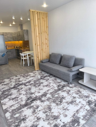 
  Сдам в аренду 1-комнатную квартиру, 53.3 м², Кемерово

. Фото 8.