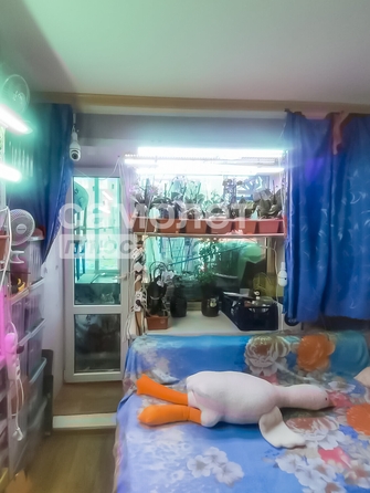 
  Продается 2-комн. квартира, 44.6 м², Сибиряков-Гвардейцев ул, д. 14
. Фото 5.