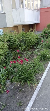 
  Продается 1-комн. квартира, 30.4 м², Молодежный пр-кт, д. 31
. Фото 10.