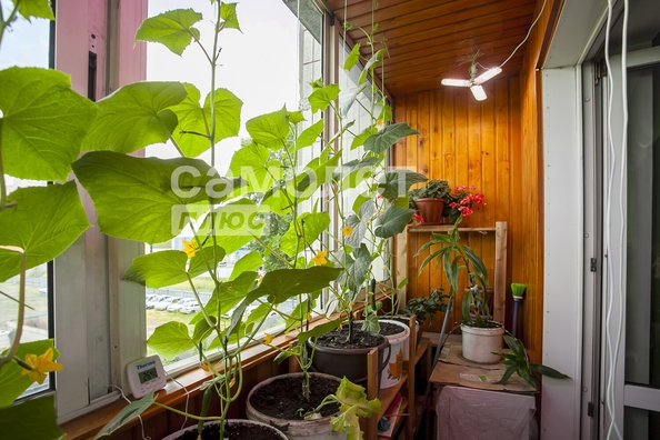 
  Продается 1-комн. квартира, 34.4 м², Шахтеров пр-кт, д. 85а
. Фото 16.