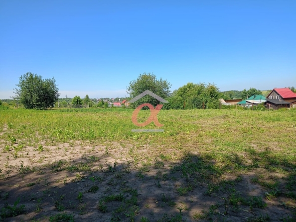 
  Продается земельный участок, 10 соток, село Андреевка
. Фото 7.