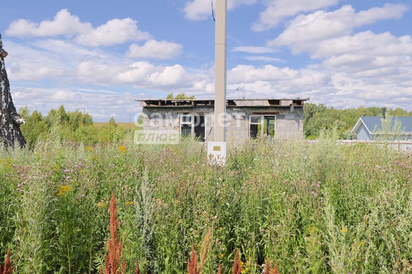 
  Продается земельный участок, 15 соток, село Андреевка
. Фото 5.
