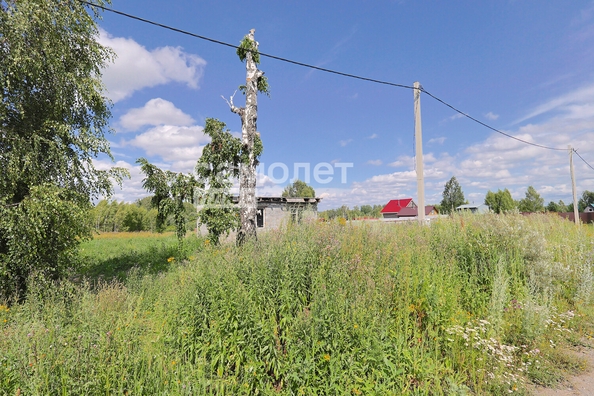 
  Продается земельный участок, 15 соток, село Андреевка
. Фото 6.