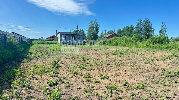 
  Продается земельный участок, 15 соток, село Андреевка
. Фото 8.