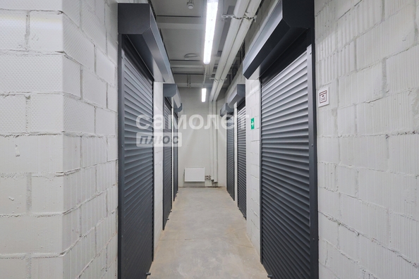 
  Продается 2-комн. квартира, 55.5 м², ЖК Чемпион-парк, дом 2
. Фото 24.