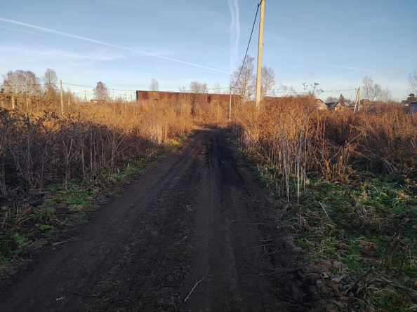 
  Продается земельный участок, 13.48 соток, село Елыкаево
. Фото 2.