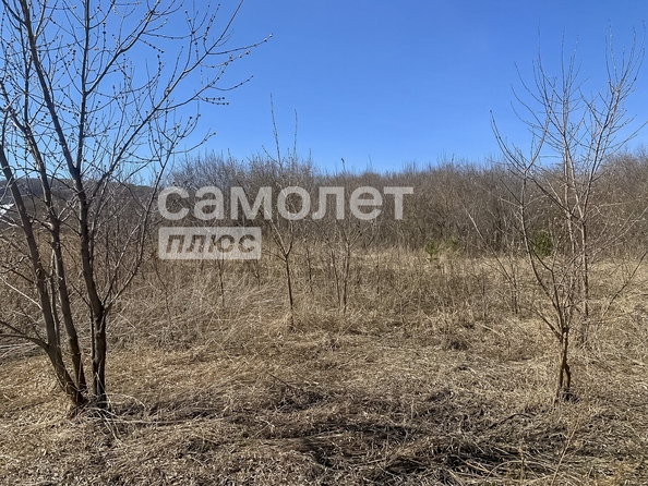 
  Продается земельный участок 12.5 соток. Фото 4.