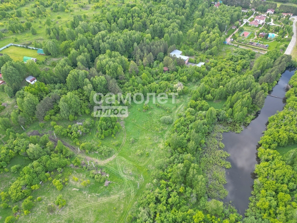 
  Продается земельный участок 120 соток. Фото 6.