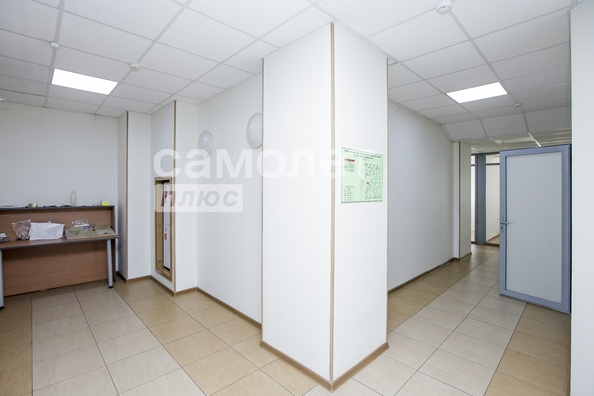 
  Продается офис 259 м². Фото 25.