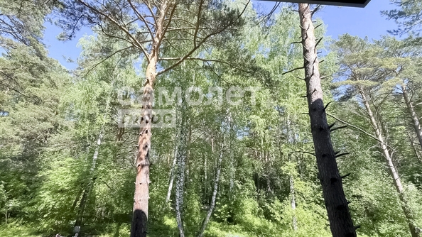 
  Продается 1-комн. квартира 31 м². Фото 7.