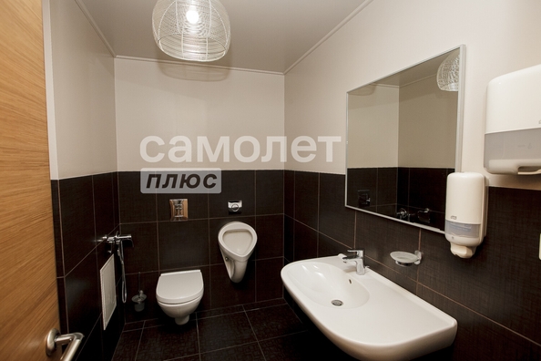 
  Сдается универсальное помещение 124.2 м². Фото 29.