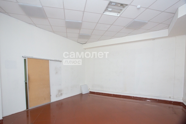 
  Сдается универсальное помещение 116.4 м². Фото 6.