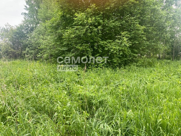 
  Продается земельный участок 18.53 соток. Фото 4.