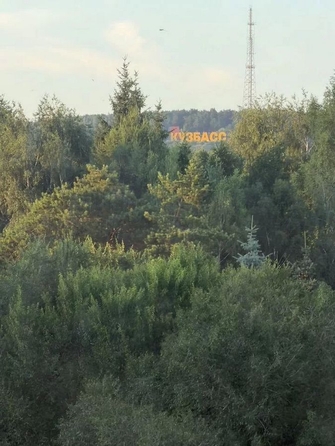 
  Продается 1-комн. квартира 30.8 м². Фото 19.
