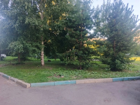 
  Продается 1-комн. квартира 30 м². Фото 12.
