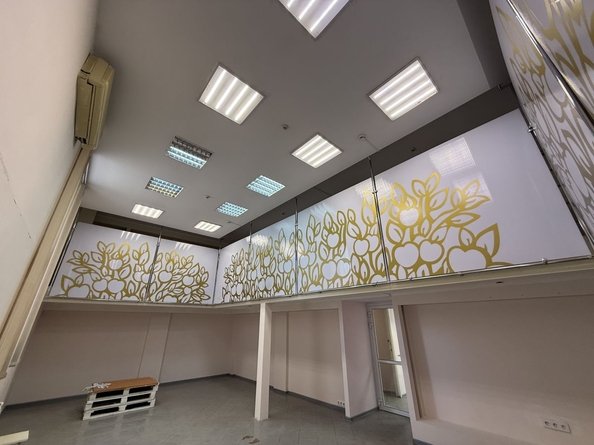 
  Сдается офис 156 м². Фото 5.