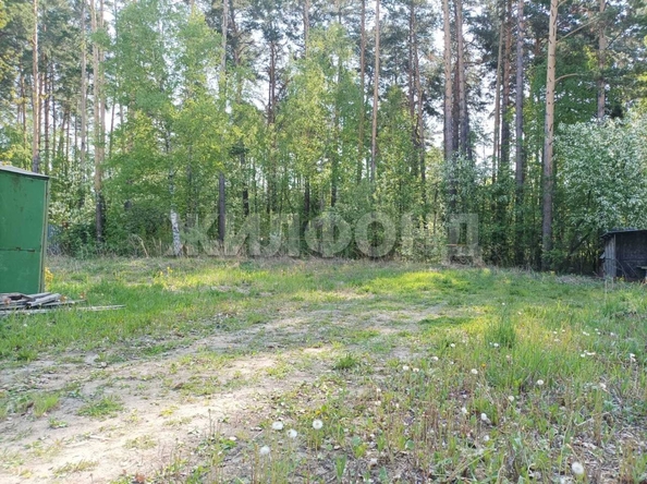 
  Продается земельный участок, 10 соток, дачный поселок Мочище
. Фото 4.