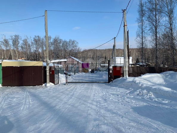 
  Продам  дачный участок, 9.5 соток, Новосибирск

. Фото 1.