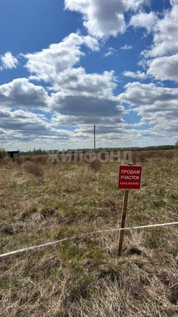 
  Продается земельный участок, 15 соток, поселок Красный Яр
. Фото 1.