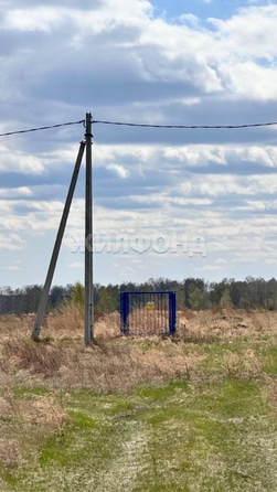 
  Продается земельный участок, 15 соток, поселок Красный Яр
. Фото 5.