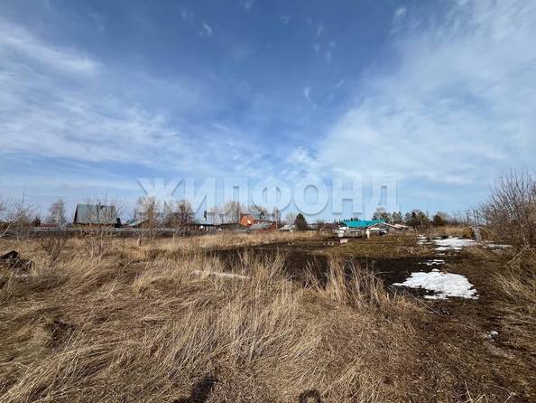 
  Продам  дачный участок, 15 соток, Береговое

. Фото 4.