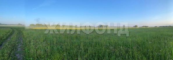 
  Продается земельный участок, 1300 соток, рабочий поселок Мошково
. Фото 10.