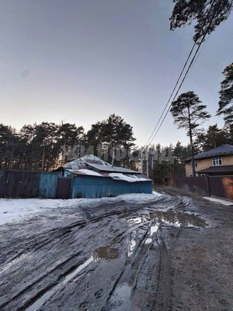 
  Продам  дачный участок, 10 соток, Новосибирск

. Фото 2.