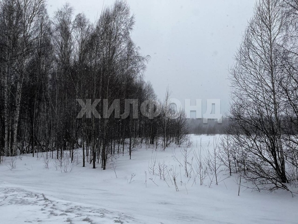 
  Продам  дачный участок, 35000 соток, Мошково

. Фото 2.