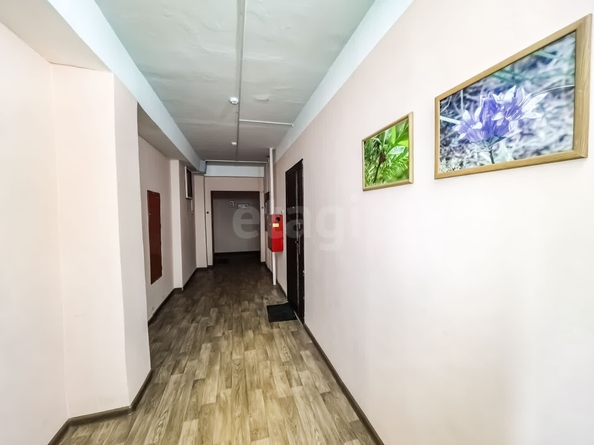 
   Продам 1-комнатную, 51.6 м², Галущака ул, 3

. Фото 1.