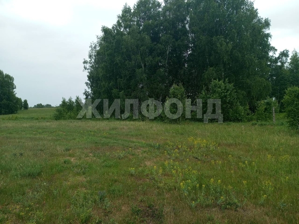 
  Продам  дачный участок, 10 соток, Скала

. Фото 1.
