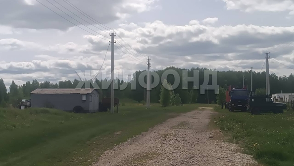 
  Продается земельный участок, 10 соток, село Скала
. Фото 2.