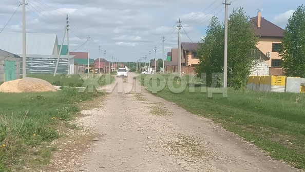 
  Продается земельный участок, 10 соток, село Скала
. Фото 4.