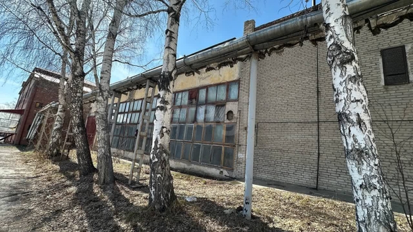 
   Сдам помещение под производство, 589 м², Декабристов ул, 275к9

. Фото 2.