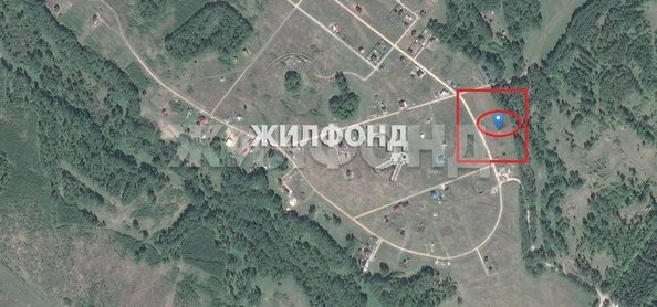 
  Продам  дачный участок, 24 соток, Индия КП

. Фото 4.