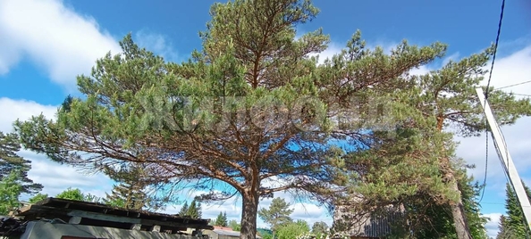 
  Продается дача, 20 м², ДНТ Иней-2
. Фото 11.