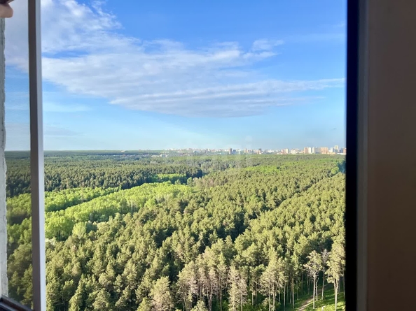 
   Продам студию, 64.5 м², Сухарная ул, 101

. Фото 2.