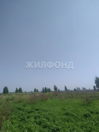 
  Продам  дачный участок, 185.9 соток, Кудряшовский пос

. Фото 6.