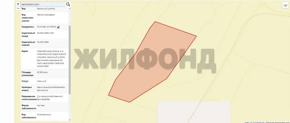 
  Продается земельный участок 185.9 соток. Фото 3.