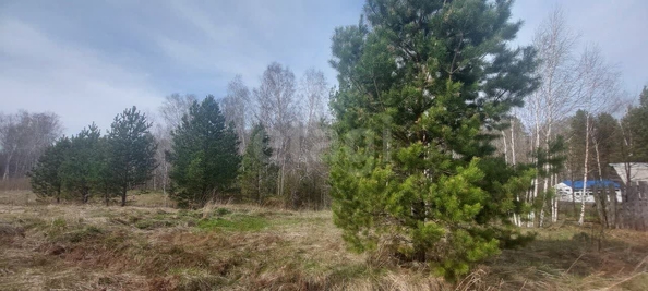
   Продам дом, 36.9 м², Обской

. Фото 14.