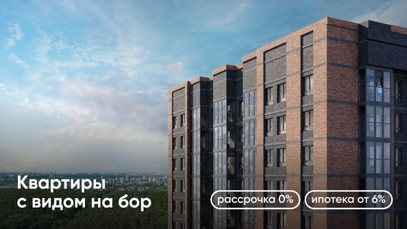 
   Продам 1-комнатную, 43.9 м², Белкин

. Фото 6.