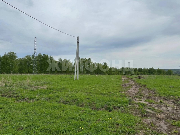 
  Продается земельный участок, 10 соток, село Морозово
. Фото 3.