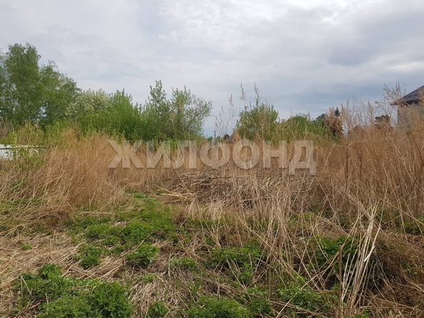 
  Продам  дачный участок, 18 соток, Ордынское пос

. Фото 4.