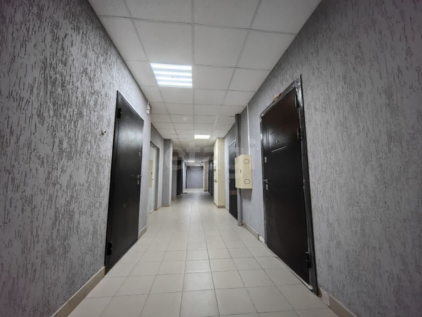 
   Продам студию, 29.8 м², Сибиряков-Гвардейцев ул, 44/7

. Фото 8.